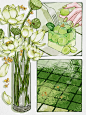 分镜插画|采荷撷夏|清凉水彩风