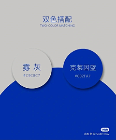 知鸢-采集到配色