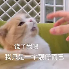 今日份#表情包# 来辽

评论里分享一下你最近收藏的表情包吧 ​​​​