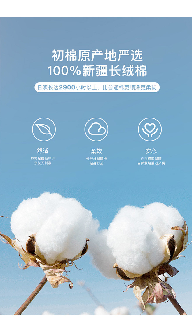 初棉错位领口设计 水柔棉新疆长绒棉短袖T...