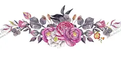 手绘花朵 【酷图网】创意插画,海报设计,插画,手绘,海报元素,手绘花朵,花朵,绽放的花朵,牡丹花,玫瑰花