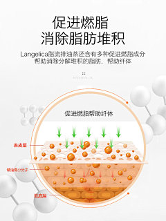 意大利langelica脂流排油茶包 溶脂瘦身燃脂清肠刮油脂肪分解*2-tmall.hk天猫国际
