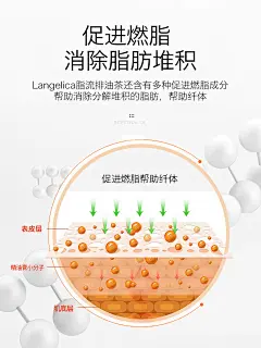 意大利langelica脂流排油茶包 溶脂瘦身燃脂清肠刮油脂肪分解*2-tmall.hk天猫国际