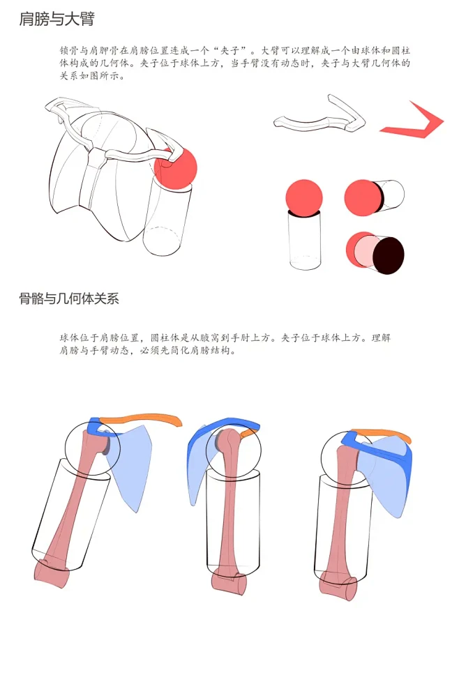 保姆级别手臂绘画教程~（再不看错过一万）