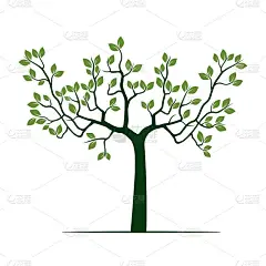 绿色的向量树。