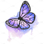 梦幻紫色纹理蝴蝶元素