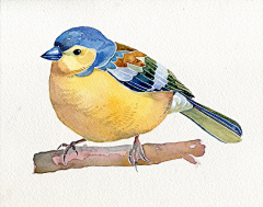 小落兔子采集到彩铅插画