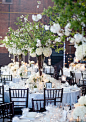 白绿色的华美婚礼仪式，新娘独爱的绣球花和木绣球花、郁金香的花艺装饰，营造了一片室内的丛林感