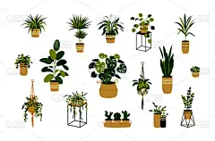 绘画插图,白色,矢量,盆栽植物,住宅内部,化学元素周期表,植物群,室内设计师,布置