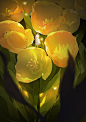3花绿色调6