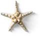 Starfish