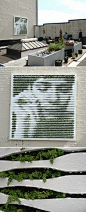 mosstika green graffiti NY  collective  street art