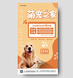 用户FdnqBYxr采集到狗粮
