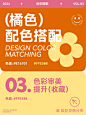 vol 10.色彩灵感|高级感橘色 橙色配色 - 小红书