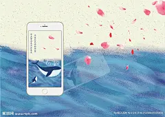 原创手绘卡通鲸鱼手机海报屏保
