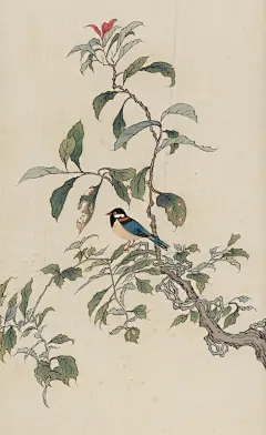 【   溥儒 · 花鸟欣赏 …  】 ​​​​