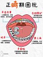 想清楚再牙齿正畸❗️一篇和你讲明白刷牙！