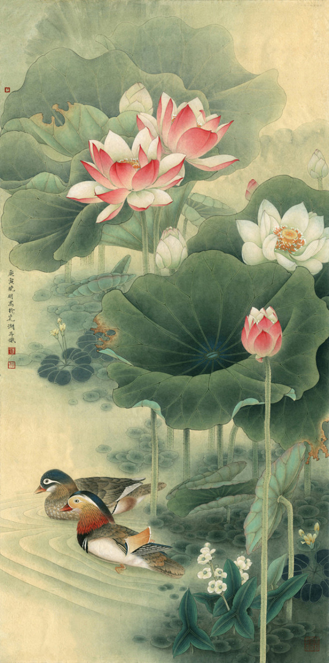 国画荷花