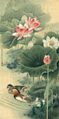 国画荷花