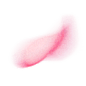 花瓣 (3)