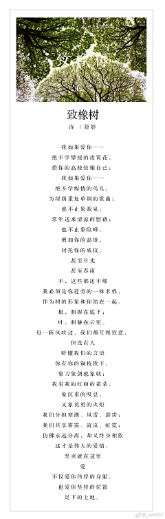 管宁庄上的尕小伙采集到美图