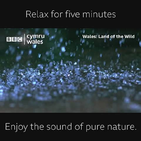 BBC说来自英国威尔士的自然音乐有助于睡...