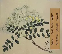 【花月令●工笔花草赏析】花月令即将一年四季中，一些主要花卉的开花、生长状况，以诗歌或者经文的形式记录下来，读之朗朗上口，便于记忆，利于花事农事。作者为明代程羽文。#书画界 中国传统文化#