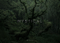 Magic Forest projects | Behance 上的照片、视频、徽标、插图和品牌