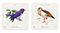 birds Nature animals cards biology science infographic wings feathers natural history