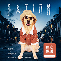 2639399576采集到宠物参考