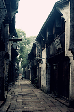 小枣儿采集到场景