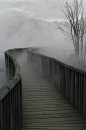 迷雾至桥，尽头在何处？