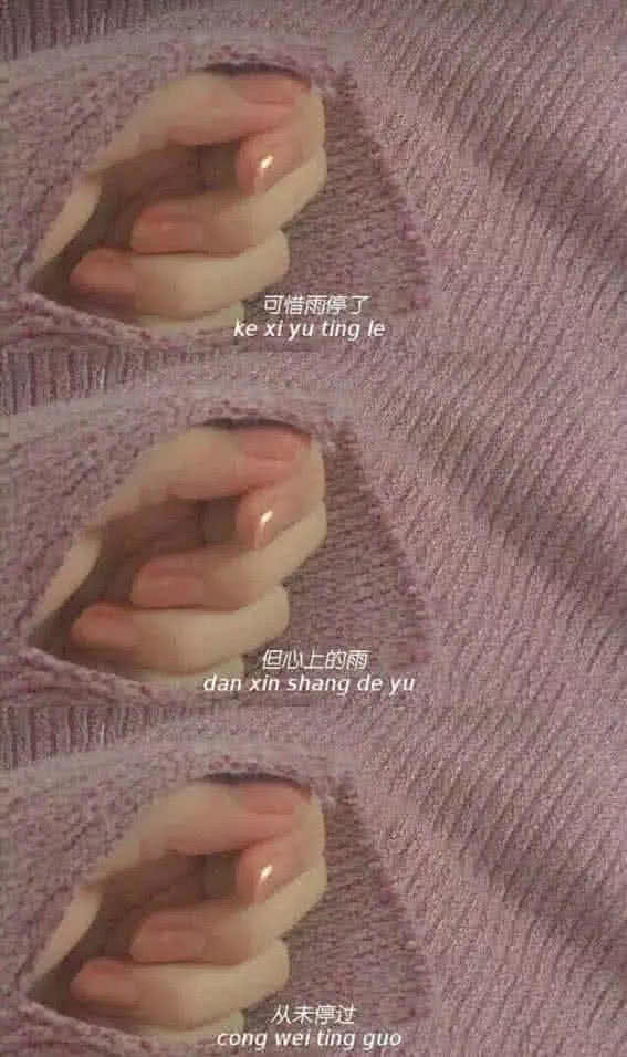 棠媱采集/三公格