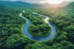 【AI数字艺术】林间蜿蜒道路航拍视角插画下载