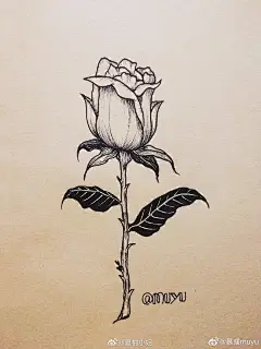 来自分享