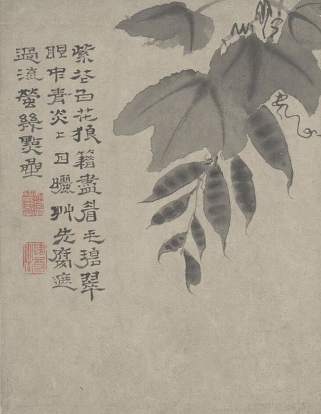 紫花白花狼藉尽，眉毛碧翠眼中青。炎炎日晒...
