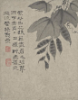 紫花白花狼藉尽，眉毛碧翠眼中青。炎炎日晒草先腐，遮过流萤几点星。
（清 石涛 墨醉杂画图册页之一）