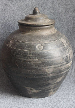 WACoo采集到器具-瓶罐