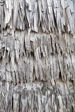 墙,古老的,干的,叶子,小屋,餐垫,死亡的植物,垂直画幅,褐色,纹理效果