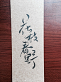 花枝春野