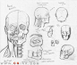 random_anatomy_sketches_3_by_rv1994-d5934n9.jpg