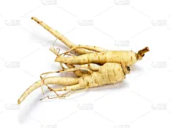 人参,饮食,水平画幅,根部,无人,白色背景,健康保健,背景分离,草药,食品