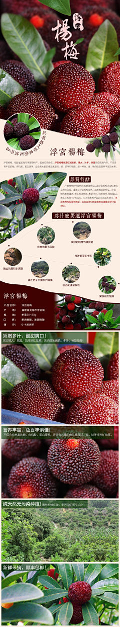 苏西丁采集到农场