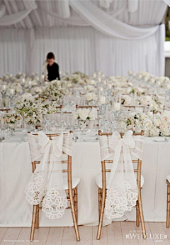 杨明2019采集到Wedding Flowers ——椅背装饰