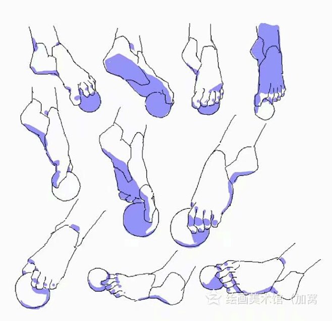 脚