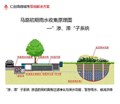 雨林霖070103117采集到花园时光——雨水花园