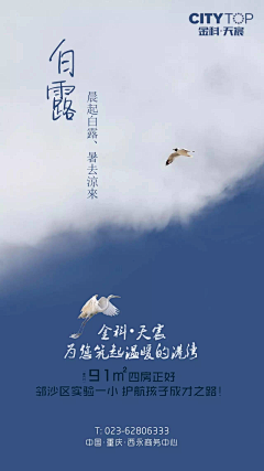 cc0125c采集到白露
