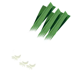 菜肉鱼-小插画_大葱