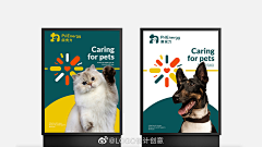 Tzezé采集到品牌