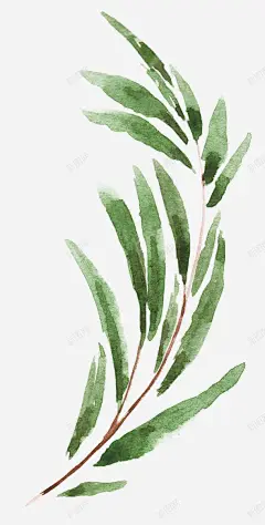 手绘竹叶 设计图片 免费下载 页面网页 平面电商 创意素材